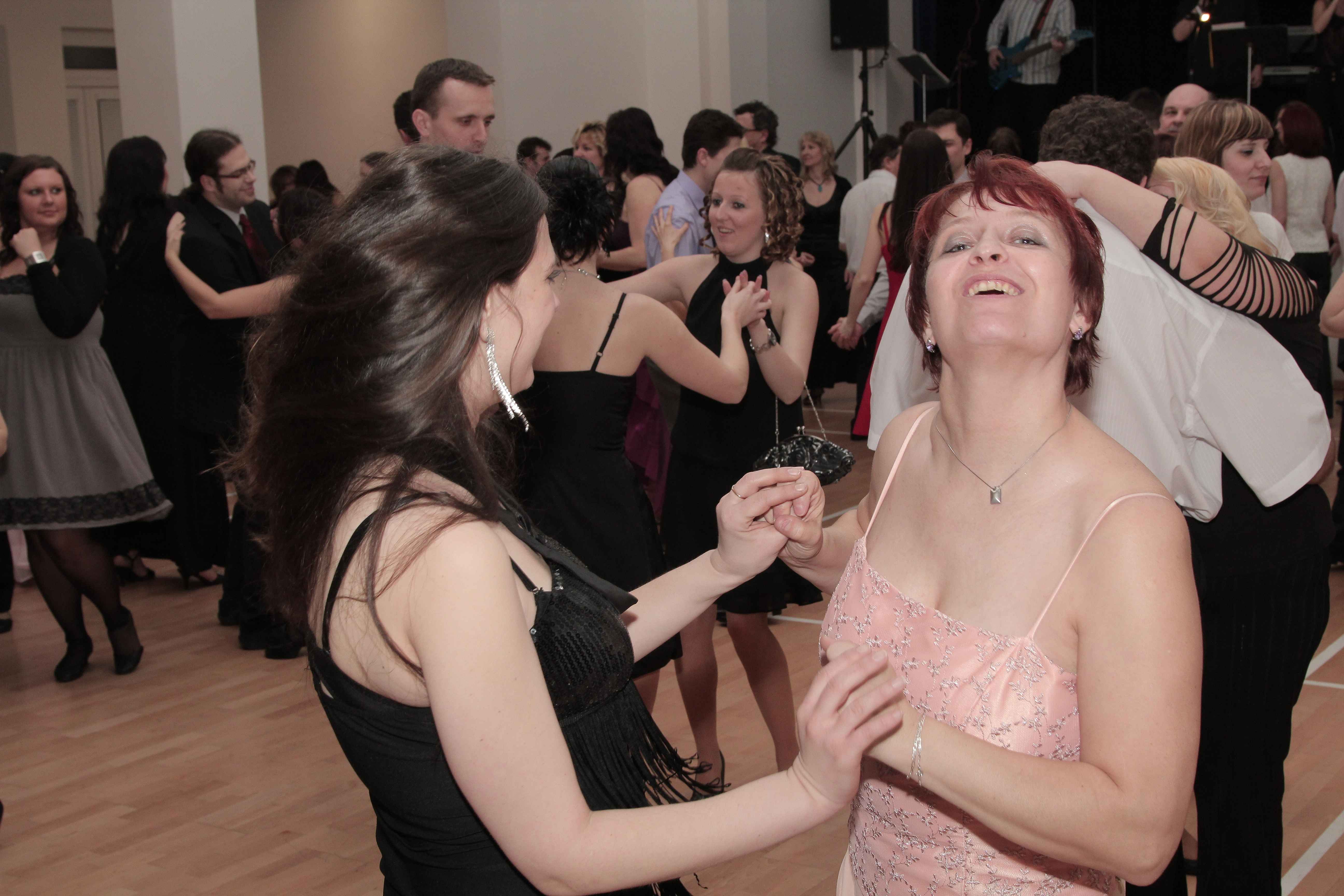 Ples 2013 001
